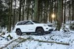 Jeep Grand Cherokee Trailhawk 2016 года (WW)